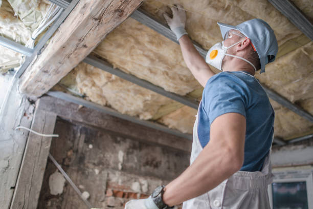 Best Insulation for Specific Applications in Jackson, MI