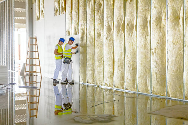 Best Commercial Insulation in Jackson, MI